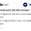 오늘의 영단어 다섯개 이미지