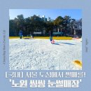 씽씽베어 | 서울 도심에서 즐기는 포스트 평창 ‘노원 씽씽 눈썰매장’ 평일 후기(with 6살 아이랑)/현재 운영종료