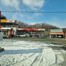 사과나무 주유소 이미지