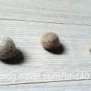 예쁘다 펫살롱 이미지