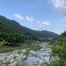 배내자연농원슈퍼 이미지