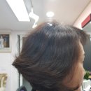 김경숙헤어 이미지