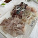 엘지전자(주) 속초서비스센터 | [강원도/속초]속초 설악항 활어회센터 바가지 없는 백운호 | 공영주차·영업시간·휴무일·주문팁...