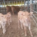 이광준농장 | 농민사관학교 정원관리과정 수료생 학습조직체 견학