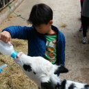 금와농장 이미지