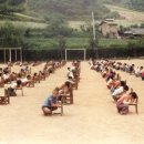 오리초등학교 이미지