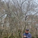 도토리숲속학교 이미지