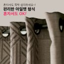 심플럭스