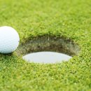 뉴스프링빌2 이미지