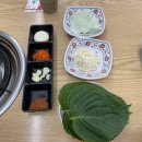 5218 | 오송에 이런 데가 있었어? 해산물 전문점 '사계해담' 쭈꾸미대하 후기!