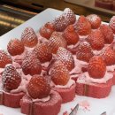 선명5차아파트놀이시설 | 순천뷔페 찾는다면? 신대지구맛집 쿠우쿠우 순천초밥뷔페 추천