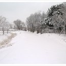 선사유적지 이미지