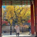 덕수궁 돌담길.. 이미지