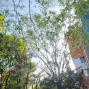 소월아트홀광장 이미지