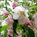 물만난고기 이미지