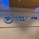 스카이팀 | [시드니] SYD 스카이팀 라운지 이용 후기 | 대한항공 탑승 전