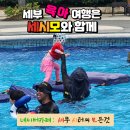 비세시모