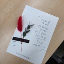 감성가득 수채 캘리그라피 | 감성 글씨, 나만의 손글씨를 찾다 — 고려대학교 캘리그라피 동아리&#34;캘리쿠&#34;와 함께한 원데이 클래스 후기