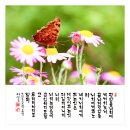 평안 이미지