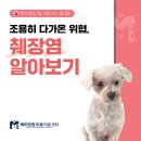 다가온동물병원 이미지