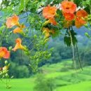 김동규 10월의 어느 멋진 날에 이미지