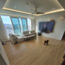 서희태권도 | 소음 반려견매트 > 슬개골 관절 걱정 줄이는 가장 좋은 필수템 [ 각화 서희스타힐스 ] 시공 후기 입니다.