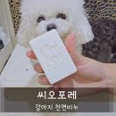 반려동물 천연비누 씨오포레 강아지 샴푸 추천