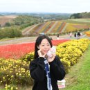 농업할인마트 | [공지] 인디고트래블 훗카이도 비에이 후라노 버스투어 (feat. 꿀팁, 할인쿠폰)