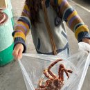 GS25 노량진수산시장점 | 노량진 수산시장 싸게 사는 법, 레드킹크랩 시세 |초장집 손질비 찜비 테이블 비 등