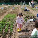 만이농장 이미지