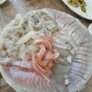 괭이바다 Daum카페