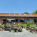 봉동코다리 이미지