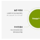 와이로직스