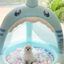 바나나 반려견 미용실 이미지