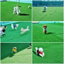 멍블리하우스 이미지