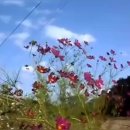 푸른바다약국 이미지