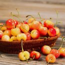 달콤한 네일 | [내돈내산][솔직후기] 오늘도 손톱에 색칠놀이...네일(사랑의온도, 달콤한온도)(a.k.a. 수족냉증 판별네일)