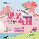 강서 낙동강30리 벚꽃축제(2025년) 이미지