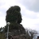 제주항식당 이미지