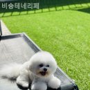 이종무로128번길 네이버블로그
