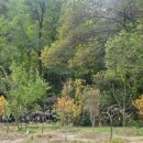 감이남로40번길 이미지