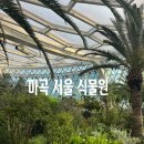 우림정비 | 겨울에 가볼 만한 곳 서울 식물원 기후 동행 카드 할인 방문 후기