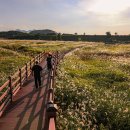대명유수지 - 3898 | 대명유수지