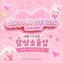 하이스튜디오 | [세이하이스튜디오] 나성동 데이트 필수 코스!🎀 귀염뽀짝 소품샵 '세이하이스튜디오' 방문 후기🧸✨