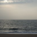 화이트펜션 이미지