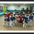 연세태권도장 이미지