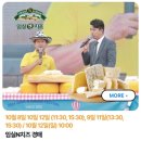 임실방앗간 | [임실N치즈축제] : 구경도 못한, 재방문 하고 싶지 않은 실망스러운 축제