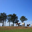 라온목장 이미지