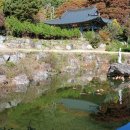 소당산 이미지