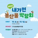 내가면-4 이미지